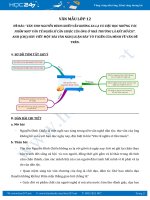 Nghị luận về giá trị thơ văn của Nguyễn Đình Chiểu