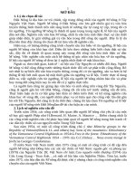 Tín ngưỡng và lễ hội của người m’nông tỉnh đăk nông (tóm tắt) 