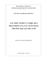 Cấu trúc sở hữu và hiệu quả hoạt động của các ngân hàng thương mại tại việt nam 