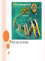 Vật chất di truyền bài giảng