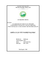 Nghiên cứu sự lưu hành virus gây bệnh tai xanh ở lợn, ứng dụng kỹ thuật GPS và GIS xây dựng bản đồ dịch tễ, đề xuất biện pháp phòng chống bệnh tai xanh cho lợn tại tỉnh tuyên quang 