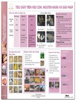 Tiêu chảy trên heo con: Nguyên nhân và giải pháp