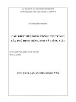 Cấu trúc tiêu điểm thông tin trong câu phủ định tiếng anh và tiếng việt (tóm tắt) 