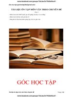 Tài liệu ôn tập môn văn thi đại học theo chuyên đề