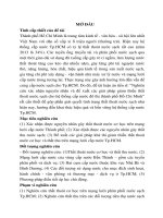 Nghiên cứu xác nhận nguyên nhân và đề xuất các giải pháp giảm thiểu thất thoát nước sạch cho hệ thống cấp nước đô thị tp  hồ chí minh (tóm tắt) 