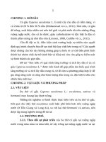 Tìm hiểu về quá trình tăng trưởng và tích lũy dầu ở củ cỏ gấu cyperus esculentus l (tóm tắt) 