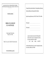 Phong tục sinh nở của người việt (tóm tắt) 