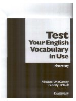 Test your english vocabulary in use elementary