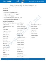 Danh động từ (Gerund) và động từ nguyên thể (To infinitive) trong tiếng Anh