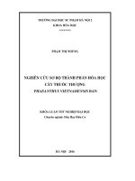 luận án nghiên cứu sơ bộ thành phần hóa học cây thuốc thượng phaeanthus vietnamensis ban 