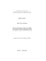 Hàm lồi, hàm lồi đa diện và hàm toàn phương lồi (LV tốt nghiệp)