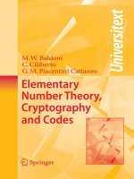 Elementary number theory cryptography and codes 
