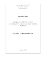 Tác động của nước biển dâng đến hệ sinh thái rừng ngập mặn tại huyện tiên lãng, hải phòng 