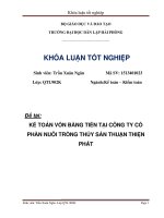 Kế toán vốn bằng tiền tại công ty cổ phần nuôi trồng thủy sản thuận thiện phát 
