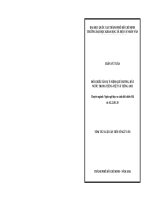 Đối chiếu ẩn dụ ý niệm QUÊ HƯƠNG, đất nước trong tiếng việt và tiếng anh  (tóm tắt) 