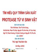TÌM HIỂU QUY TRÌNH SẢN XUẤT PROTEASE TỪ VI SINH VẬT