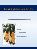 Khảo sát quá trình trích ly tinh dầu từ vỏ cam
