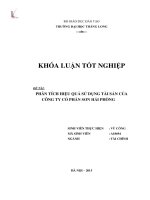 Phân tích hiệu quả sử dụng tài sản của Công ty Cổ phần sơn Hải Phòng (LV thạc sĩ)