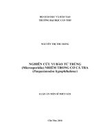 Nghiên cứu vi bào tử trùng (Microsporidia) nhiễm trong cơ cá tra (Pangasianodon hypophthalmus)” (LA tiến sĩ)