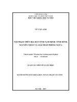 Tội phạm trên địa bàn tỉnh Nam Định Tình hình, nguyên nhân và giải pháp phòng ngừa (LA tiến sĩ)