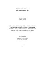 Phân lập và tuyển chọn chủng vi khuẩn có khả năng phân hủy Diazinon trong các mô hình canh tác luân canh lúa - màu  và chuyên màu ở một số tỉnh Đồng bằng sông Cửu Long (LA tiến sĩ)