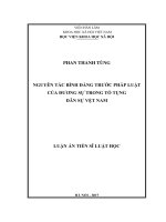 Nguyên tắc bình đẳng trước pháp luật của đương sự trong tố tụng dân sự Việt Nam (LA tiến sĩ)