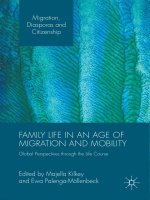 family life in an age of migration and mobility 