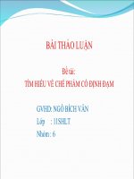 TÌM HIỂU về CHẾ PHẨM cố ĐỊNH đạm (1)