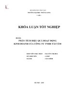 Phân tích hiệu quả hoạt động Kinh doanh của Công ty TNHH Tài Tâm (LV tốt nghiệp)
