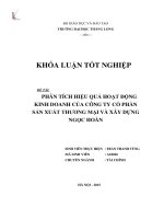 Phân tích hiệu quả hoạt động Kinh doanh của Công ty cổ phần sản xuất thương mại và Xây dựng Ngọc Hoàn (LV tốt nghiệp)