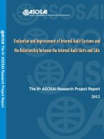 The final report of the 9th ASOSAI research project
