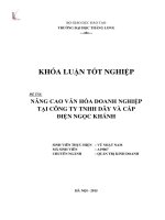 Nâng cao văn hóa doanh nghiệp tại công ty TNHH dây và cáp điện Ngọc Khánh (LV tốt nghiệp)