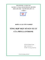 TỔNG HỢP MỘT SỐ DẪN XUẤT CỦA PHYLLANTHONE