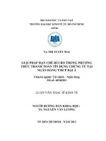 Giải pháp hạn chế rủi ro trong phương thức thanh toán tín dụng chứng từ tại ngân hàng thương mại cổ phần đại á 
