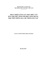 Phát triển năng lực đọc hiểu văn bản thơ trữ tình cho học sinh THPT qua hệ thống bài tập (LA tiến sĩ)