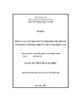 Pháp luật về trợ giúp xã hội đối với trẻ em có hoàn cảnh đặc biệt ở Việt Nam hiện nay (LA tiến sĩ)