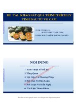 Report khảo sát quá trình trích ly tinh dầu từ vỏ cam