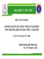 Đánh giá kết quả phẫu thuật tạo hình tổn thương khuyết đầu mũi, cánh mũi