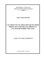 Các nhân tố tác động đến quyết định phòng ngừa rủi ro tài chính của các doanh nghiệp việt nam 