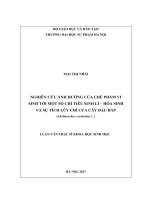 Nghiên cứu ảnh hưởng của chế phẩm vi sinh tới một số chỉ tiêu sinh lý – hoá sinh và sự tích lũy chì của cây đậu bắp 