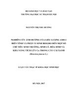 Nghiên cứu ảnh hưởng của liều lượng AMS1 biến tính và phân vi sinh biogro đến một số chỉ tiêu sinh trưởng, sinh lý, hoá sinh và khả năng tích lũy cu trong cây cải xanh (brassica juncea l ) 