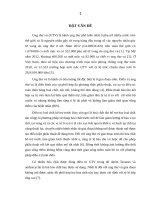 Đánh giá hiệu quả hóa trị bổ trợ trước kết hợp phẫu thuật bảo tồn trên bệnh nhân ung thư vú giai đoạn II 