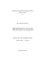 Điều kiện tối ưu cần và đủ với hàm nhân tử Lagrange (LV tốt nghiệp)