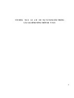 Văn hóa ứng xử giữa mẹ chồng và nàng dâu trong các gia đình nông thôn hiện nay