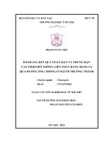 Đánh giá kết quả ngắn hạn và trung hạn can thiệp bít thông liên thất phần bằng dụng cụ qua đường ống thông ở người trưởng thành