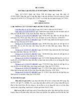 Đề cương hướng dẫn luật đấu thầu số 43 năm 2013