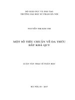 Một số tiêu chuẩn về đa thức bất khả quy 