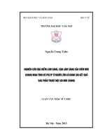 Nghiên cứu đặc điểm lâm sàng và cận lâm sàng của viêm mũi xoang mạn tính có polyp ở người lớn và đánh giá kết quả sau phẫu thuật nội soi mũi xoang