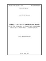 Nghiên cứu biến đổi lâm sàng, hình ảnh chụp cắt lớp vi tính lồng ngực và nồng độ một số cytokine huyết thanh ở bệnh nhân lao phổi mới AFB(+) 
