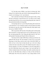 Đánh giá kết quả của phương pháp bít ống động mạch bằng coil qua đường ống thông 